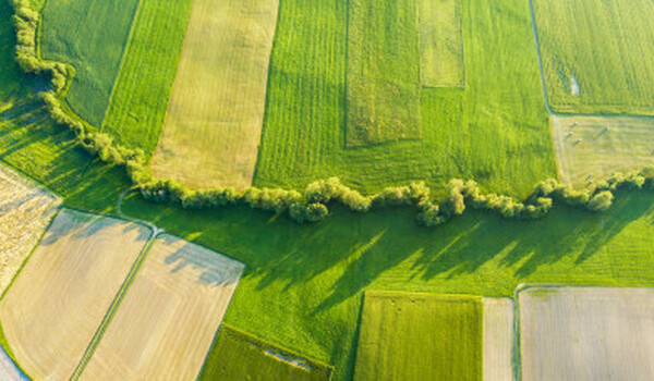 Anunț vânzare teren